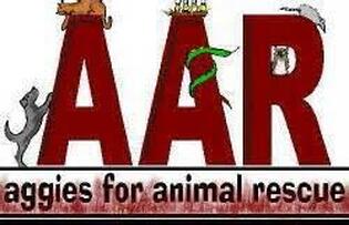 Aggies for Animal Rescue